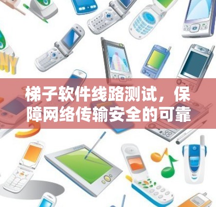 梯子软件线路测试,保障网络传输安全的可靠方案