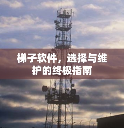 梯子软件,选择与维护的终极指南