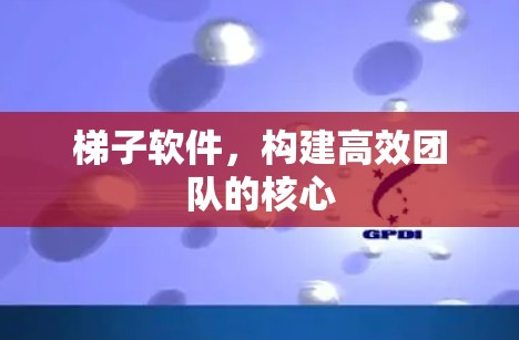 梯子软件，构建高效团队的核心