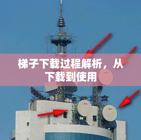 梯子下载过程解析，从下载到使用