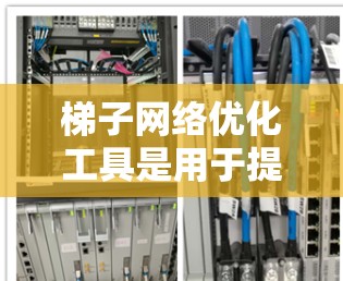 梯子网络优化工具是用于提高梯子网络性能的软件或编程库。梯子网络由多个梯子组成，每个梯子可能由节点和边构成。优化工具通过调整结构参数，实现提高传输效率、减少能耗等目标