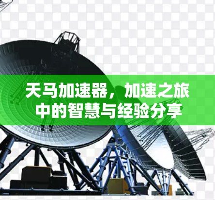 天马加速器，加速之旅中的智慧与经验分享