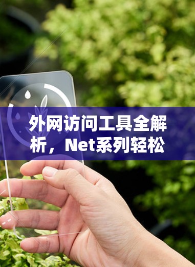 外网访问工具全解析,Net系列轻松畅游 外网访问工具全解析,Net系列轻松畅游