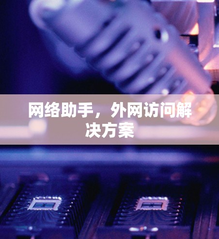 网络助手,外网访问解决方案