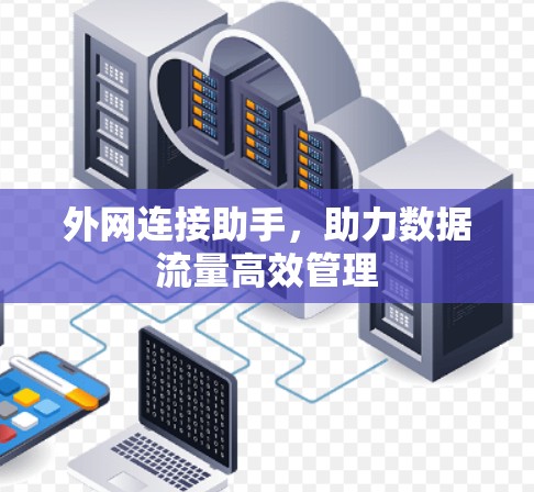 外网连接助手,助力数据流量高效管理