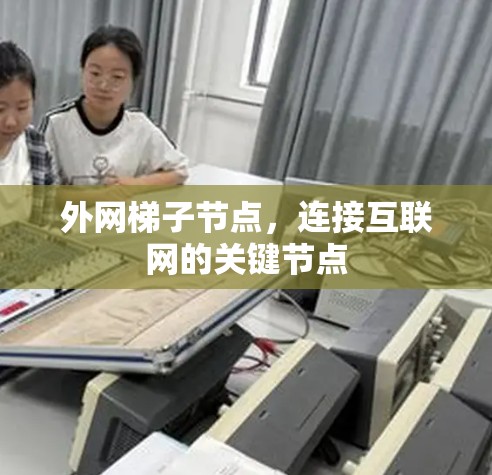 外网梯子节点,连接互联网的关键节点