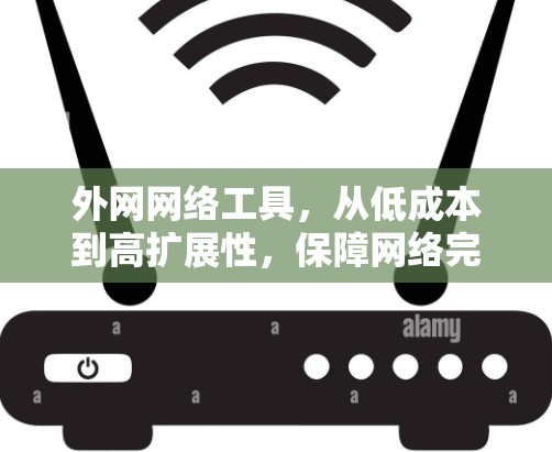 外网网络工具,从低成本到高扩展性,保障网络完整性