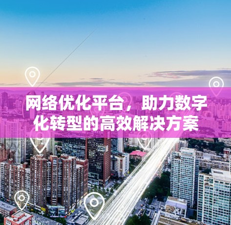 网络优化平台,助力数字化转型的高效解决方案