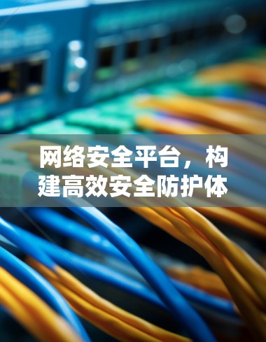 网络安全平台,构建高效安全防护体系