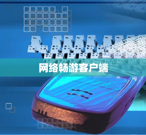 网络畅游客户端