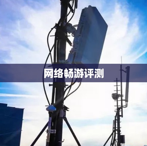 网络畅游评测