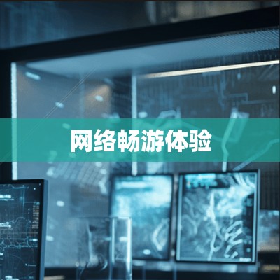 网络畅游体验
