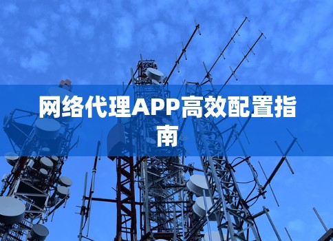 网络代理APP高效配置指南