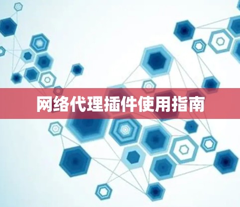 网络代理插件使用指南