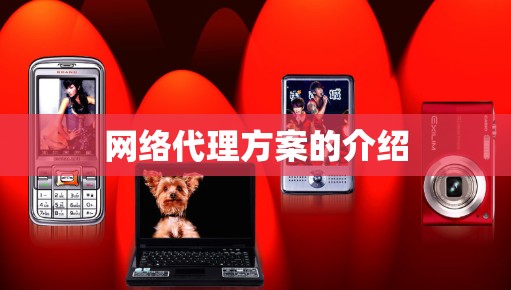 网络代理方案的介绍