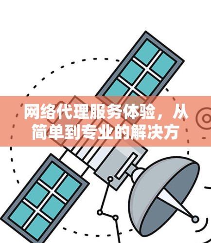 网络代理服务体验,从简单到专业的解决方案