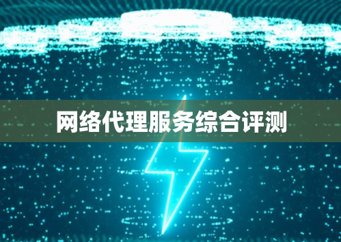 网络代理服务综合评测