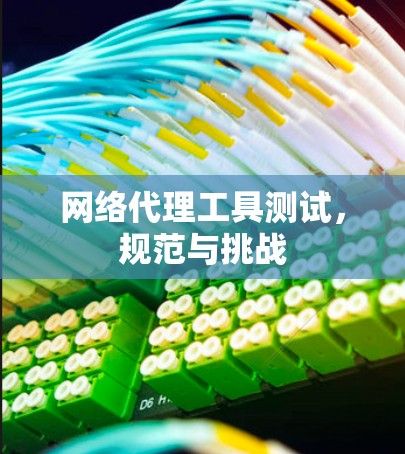网络代理工具测试,规范与挑战