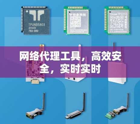 网络代理工具,高效安全,实时实时