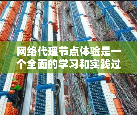 网络代理节点体验是一个全面的学习和实践过程,帮助你理解网络环境并优化网络性能。以下是一个结构化的总结,涵盖你可能需要了解的内容