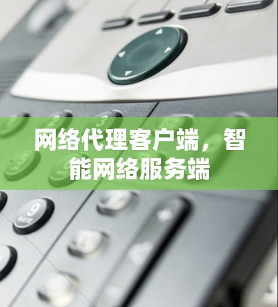 网络代理客户端，智能网络服务端