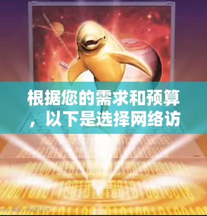 根据您的需求和预算，以下是选择网络访问工具的建议