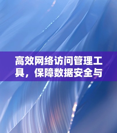 高效网络访问管理工具，保障数据安全与性能的解决方案