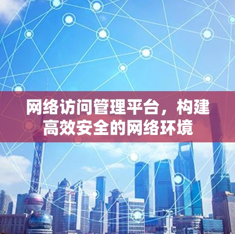 网络访问管理平台，构建高效安全的网络环境