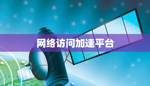网络访问加速平台