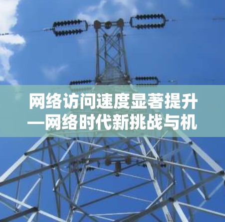 网络访问速度显著提升—网络时代新挑战与机遇