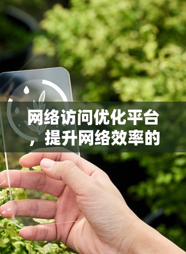 网络访问优化平台，提升网络效率的绿色未来