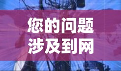 您的问题涉及到网络分析助手，我理解您可能是在寻找一种用于网络分析的工具或软件。网络分析通常涉及对网络流量、设备状态、网络安全威胁等进行研究和预测。以下是一些可能的网络分析助手功能和使用方法
