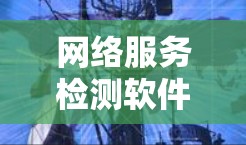 网络服务检测软件是用于监控和测试网络服务运行状态的工具，分为在线检测和非线性检测两大类。以下是详细的信息