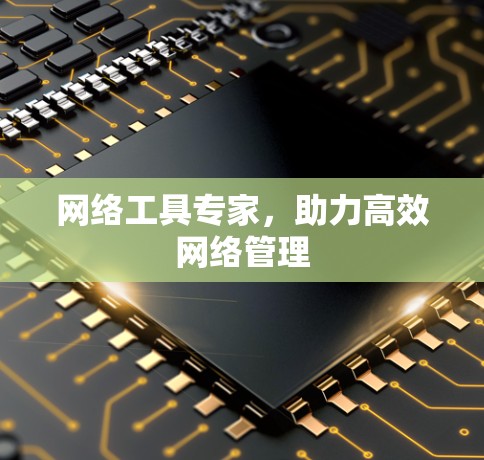 网络工具专家，助力高效网络管理