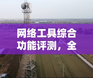 网络工具综合功能评测，全面评估工具性能的实践指南