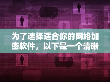 为了选择适合你的网络加密软件，以下是一个清晰的指南