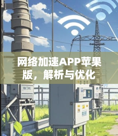 网络加速APP苹果版，解析与优化