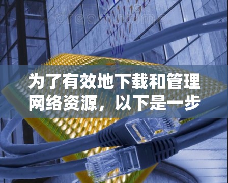 为了有效地下载和管理网络资源，以下是一步步的推荐和操作指南