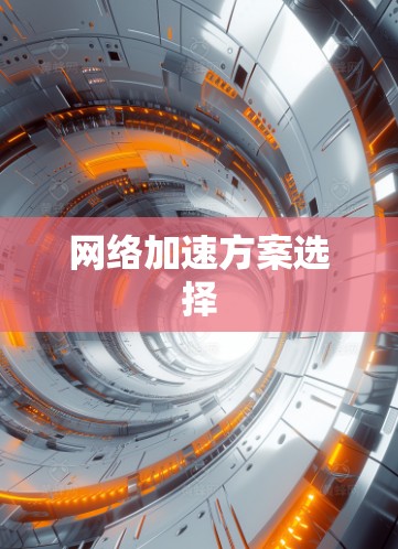 网络加速方案选择