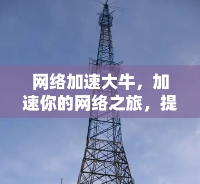 网络加速大牛，加速你的网络之旅，提升速度更高效