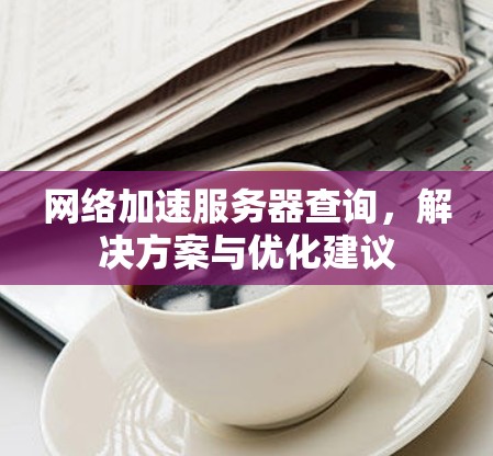 网络加速服务器查询，解决方案与优化建议