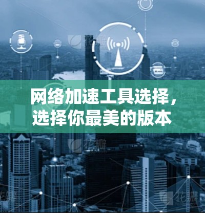 网络加速工具选择，选择你最美的版本