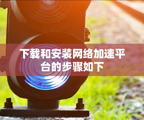 下载和安装网络加速平台的步骤如下