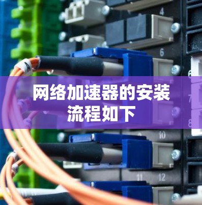 网络加速器的安装流程如下