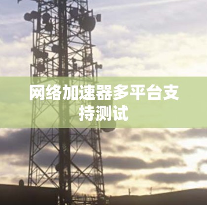 网络加速器多平台支持测试