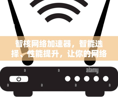 智核网络加速器,智能选择、性能提升,让你的网络更轻松