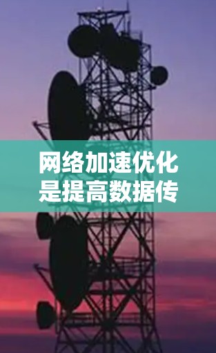 网络加速优化是提高数据传输效率的重要方法，涉及多个步骤和策略。以下是对网络加速优化方法的详细分析和建议