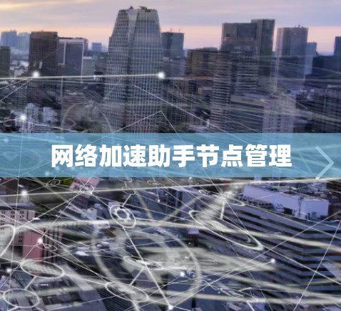 网络加速助手节点管理