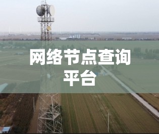 网络节点查询平台