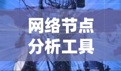 网络节点分析工具，系统性能评估与优化指南